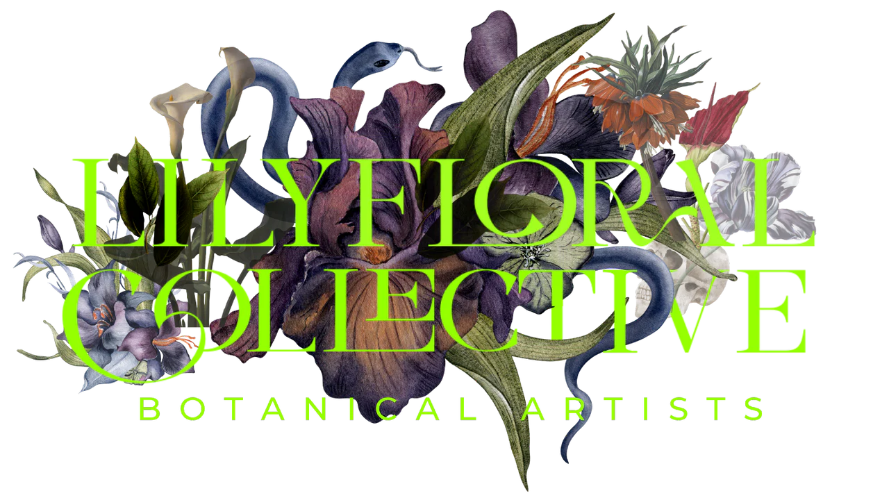 The logo for LilyFloralCollective, a flower shop based in Kansas City, MO.